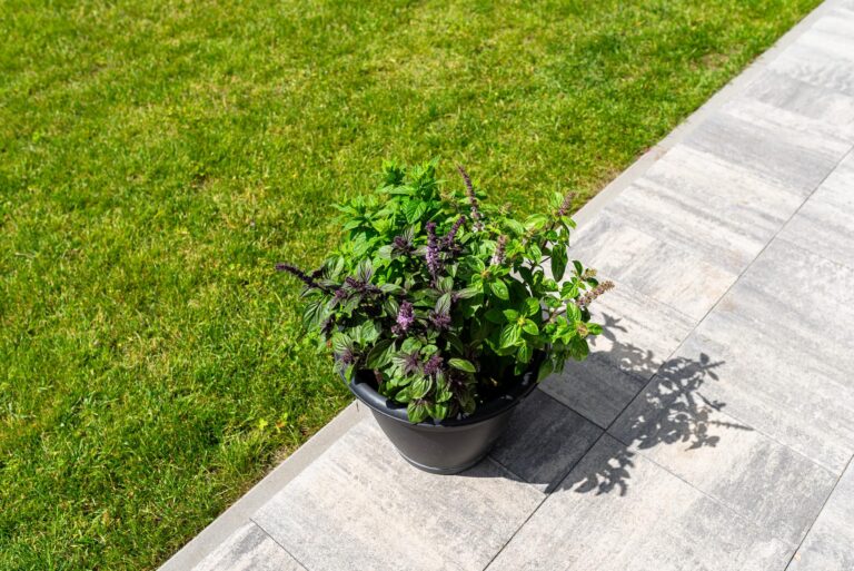 voordelen keramische tegels buiten