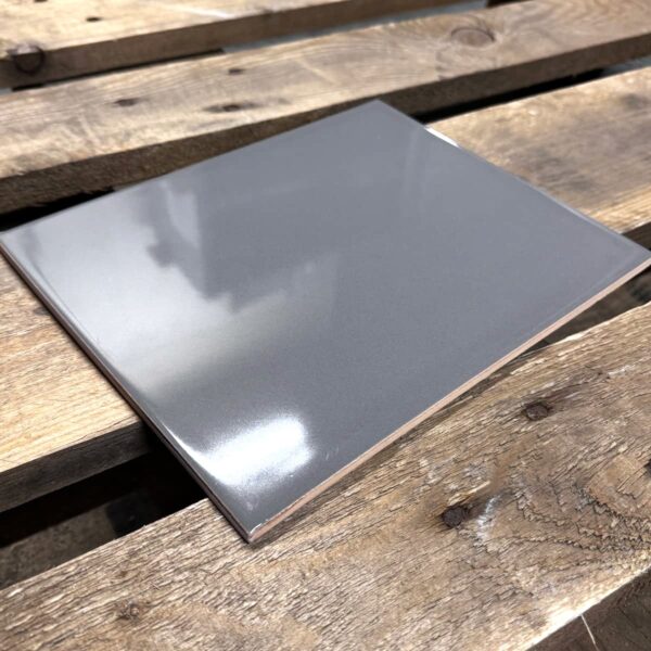 Ceratile-Grijs-120-Glans-20x25cm-2