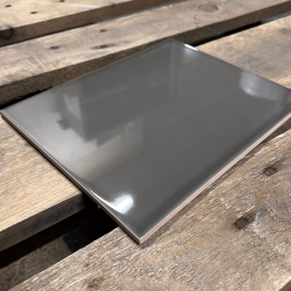 Ceratile-Taupe-110-Glans-20x25cm-2