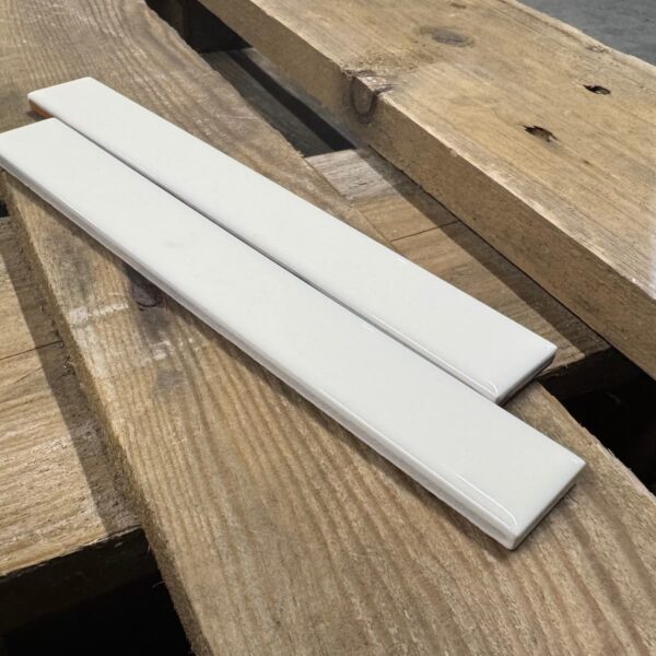 Cevica-Hueso-2,5x20cm-4