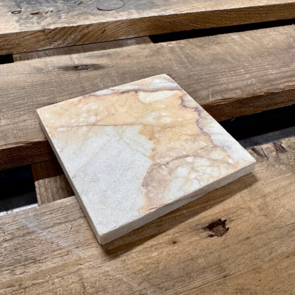 Steenbok-Hardsteen-Beige-Getrommeld-10x10cm-2